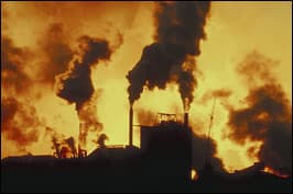 ecocoal5