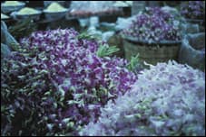 market4