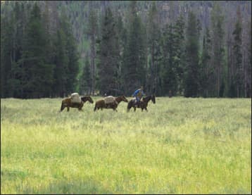 Tory traverses the Timeless Pelican Valley in Yellowstone Image courtesy of the Taylors