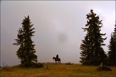 taylorstory-9