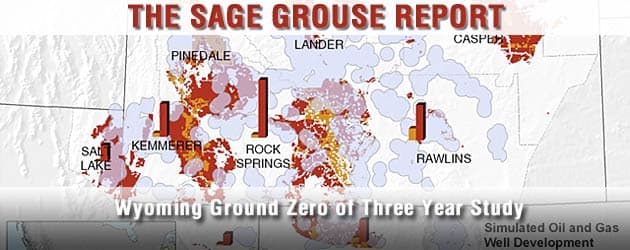 The Sage Grouse Report