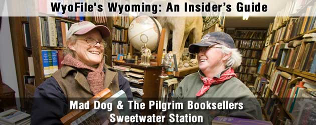 mad_dog_and_the_pilgrim_630x250