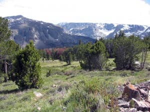 Whiskey-Mtn-WBP