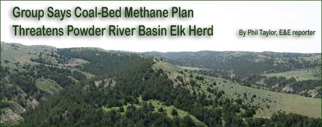 ee-prb-oasis-header PRB plan may threaten elk