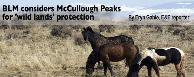 peaks-protections-header2