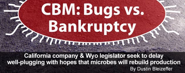 CBM: Bugs vs. Bankruptcy