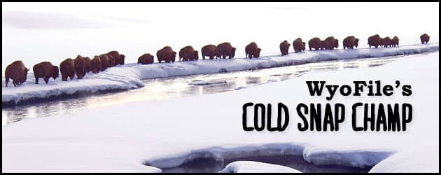 WyoFile's Cold Snap Champ