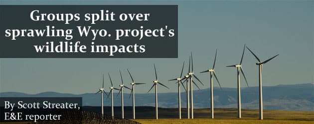 windimpactslip_banner Groups split over sprawling Wyo. project's wildlife impacts
