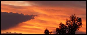 Thumbnail image for Cheyenne at Dark
