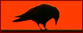 Thumbnail image for Conservative group seeks to rid Wyo GOP of ‘RINOs’