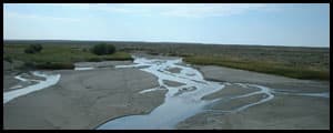 Thumbnail image for New proposal may raise fish population in ranchland streams