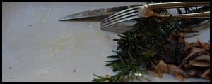 Thumbnail image for Hungry to help