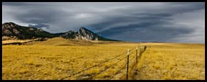 Thumbnail image for The Grass is Always Greener