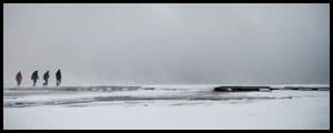 Thumbnail image for Winter Wildland
