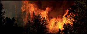 Thumbnail image for Lawmakers cut back on wildlife, fire budgets