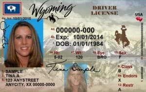 A sample license from Wyoming's Department of Transportation.
