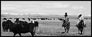 Thumbnail image for Wyoming: Where independent people rely on federal funds
