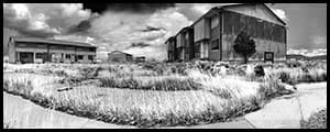 Thumbnail image for Fiscal Doomsday: How risky is Wyoming’s energy-based budget?