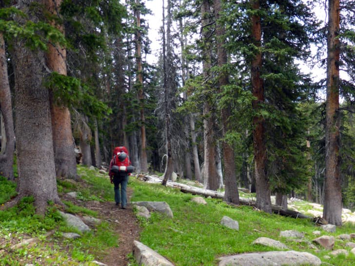 Wilderness Leaving the trail in Wyoming’s Sierra Madre WyoFile