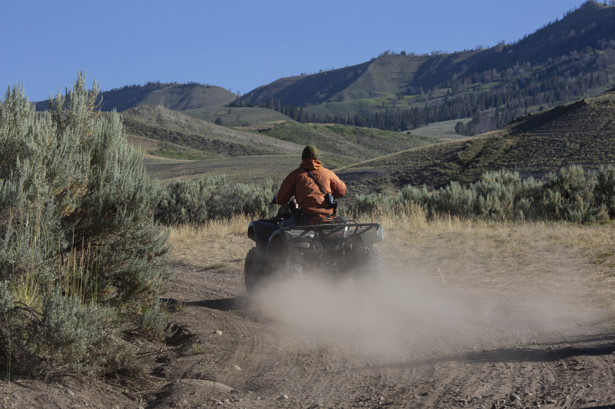 Trump proposal could unleash ATVs across Wyoming's national forests - WyoFile