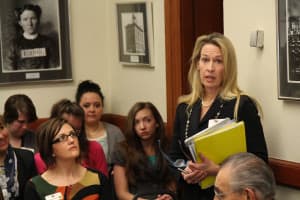 Liz Brimmer speaks to the Senate Judiciary Committee hearing on SF 115 during the 2015 session. She helped form the Compete Wyoming coalition of businesses to back the bill. (Gregory Nickerson/WyoFile)