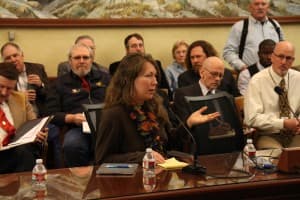 University of Wyoming Staff Senate president Rachel Stevens speaks at a 2015 legislative hearing. (Gregory Nickerson/WyoFile)