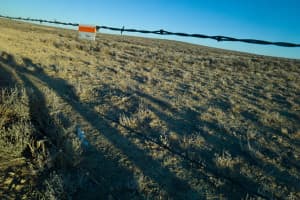 A reflective flag marks a fence to protect grouse from a collission in the winter concentration area where the NPL gas field would be developed. (Angus M. Thuermer Jr./WyoFile.)