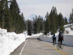 The return trip from West Thumb is mostly downhill. (Photo by Tim Young)