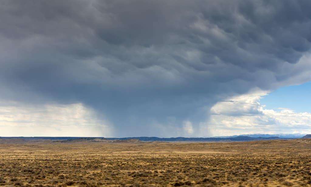 Extinction warning clouds sage grouse mapping