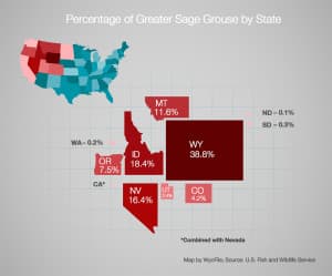 This map showing the 11 western states according to the approximate size of their greater sage grouse populations illustrates how important Wyoming is to the ongoing discussion regarding whether the bird should be protected by the Endangered Species Act. An estimated 38.8 percent of the nation’s greater sage grouse live in Wyoming and revisions to the state’s core area strategy could influence the federal government as it decides on the bird's listing in September.