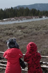 Twins Aidan and Layla Hayford observe and photograph two moose on a family trip to Yellowstone. (Cindy Hayford)