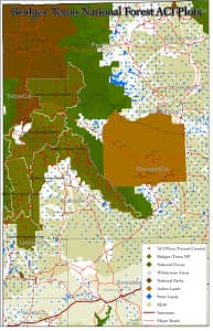 The red dots on this map show the approximate locations of plots to be covered by the 2014 vegetation survey of the Bridger-Teton National Forest. Sixteen sites were originally targeted for surveys south and east of Yellowstone National Park in the Teton Wilderness where field worker Adam Steward was killed. Five of those were quickly scratched from the list because travel hazards made them too dangerous to visit. (U.S. Forest Service)