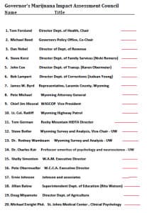 Gov. Matt Mead's appointed members to the Marijuana Impact Assessment Council. The group held its first meeting on July 29. (Office of Gov. Matt Mead)