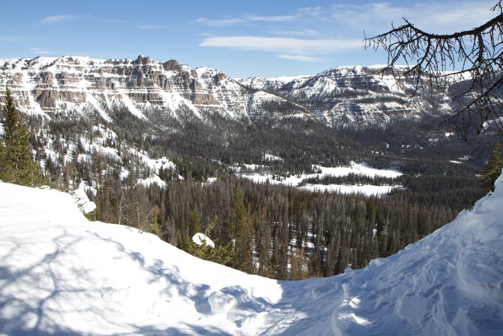 Wolverines live in remote rugged landscapes, at high elevations in the Absaroka Range. (courtesy Meghan Riley)