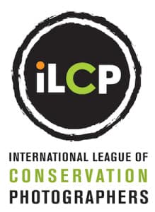 ILCP_logo-hi-2