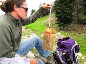 A researcher weighs a sample of vegetation collected near a pika's haypile. (courtesy Anna Chalfoun)