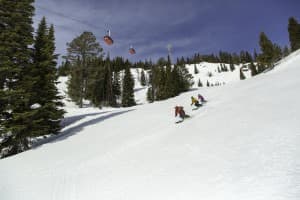 Adults students follow an instructor George Flynn down the slopes at Jackson Hole Mountain Resort. More than 15,000 adults participated in lessons or camps at the resort in 2015. (Courtesy Jackson Hole Mountain Resort)
