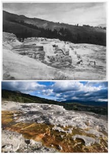 TOP July 21-24, 1871 214 GROUP OF LOWER BASINS (William Henry Jackson) BOTTOM Several of Jackson's images at Mammoth Hot Springs, including this of Minerva Terrace, were re-photographed at a wider field of view in order to show almost a century and a half of growth and expansion. The hot springs at Mammoth can deposit anywhere from a trace to one meter of travertine, or calcium carbonate, per year. Combined, the hot springs at Mammoth are estimated to flow at a rate of about 500 gallons per minute, leaving behind more than 2 tons of travertine every day. (Bradly J. Boner)