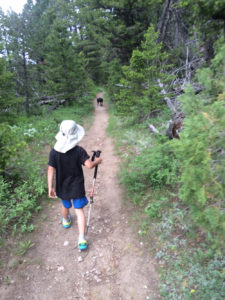 There is no minimum age requirement for the use of walking sticks — on or off trail — throughout the Shoshone National Forest (Photo by Karly Copeland)