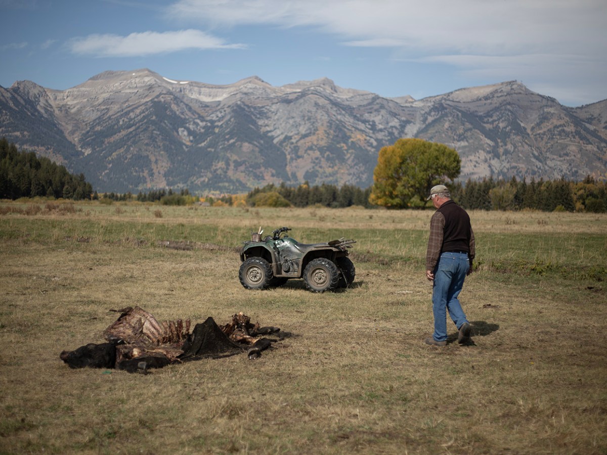 Wyoming sinks another $4.8M into predator killing as demand, costs keep growing