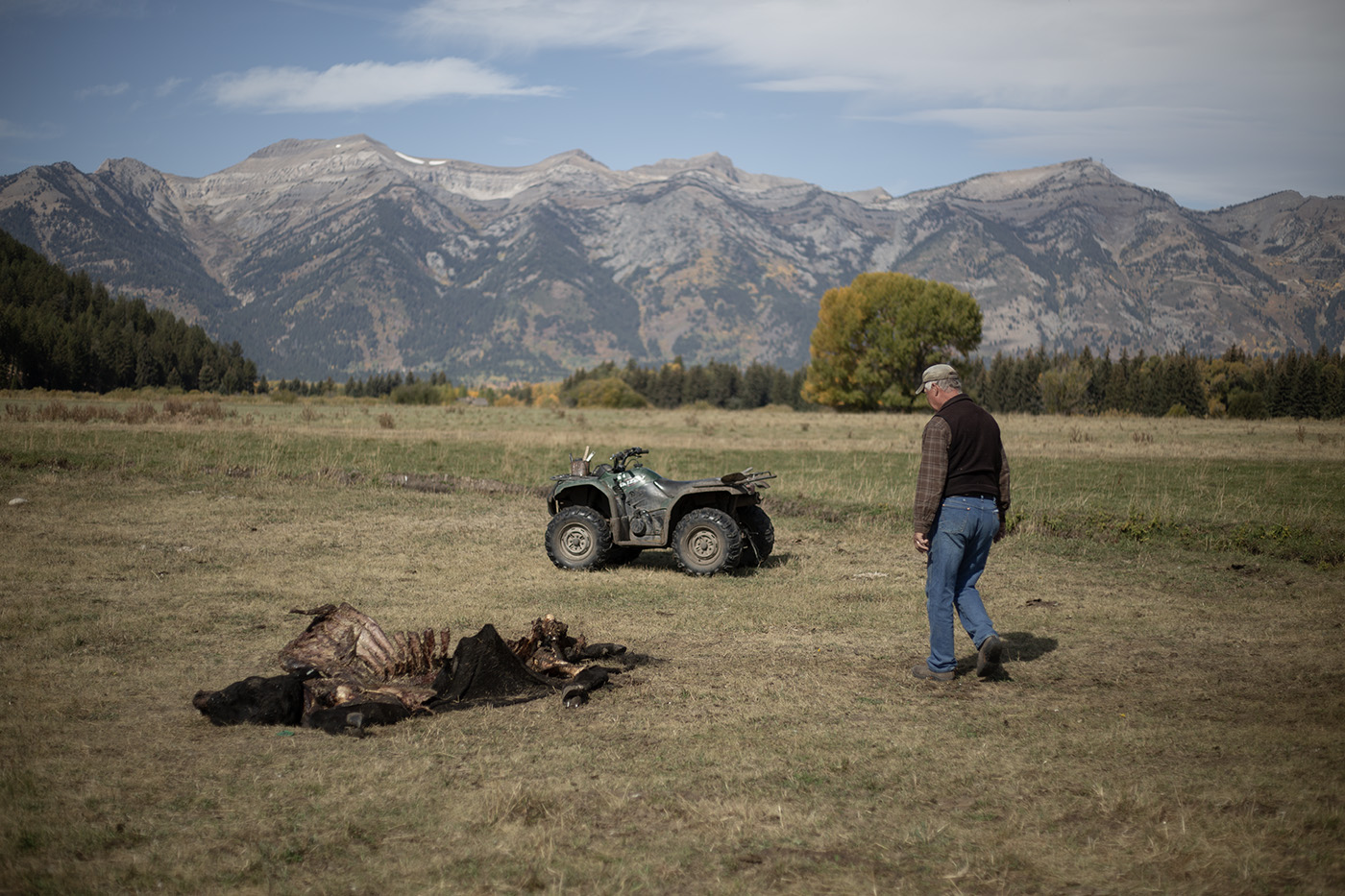 Wyoming sinks another $4.8M into predator killing as demand, costs keep growing