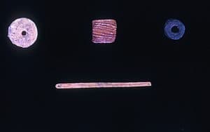 Archaeologists discovered three paleoindian beads at Hell Gap in Goshen County in the 1960s. Hell Gap recently became a national historic landmark. (University of Wyoming)