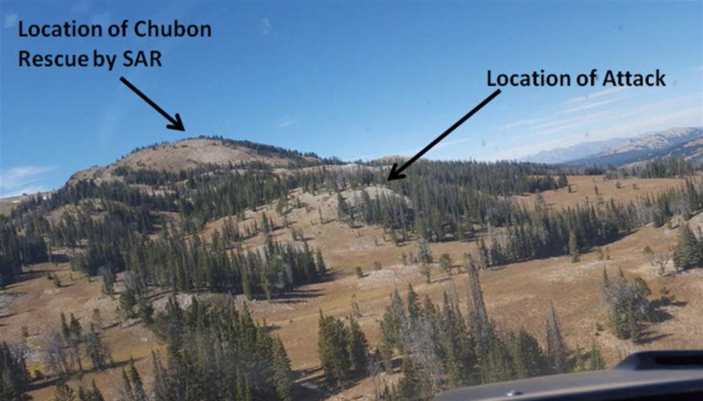 Game and Fish: Bear spray repelled killer grizzly