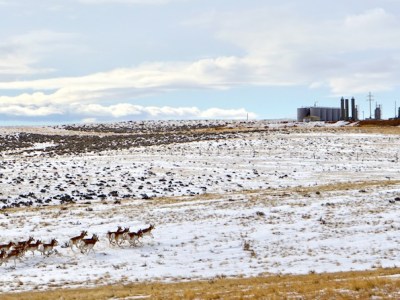 Lawsuit claims feds defied court order halting work in contested Wyoming oilfield