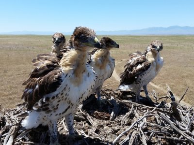 Feds unjustly firing Converse oilfield whistleblower, group contends