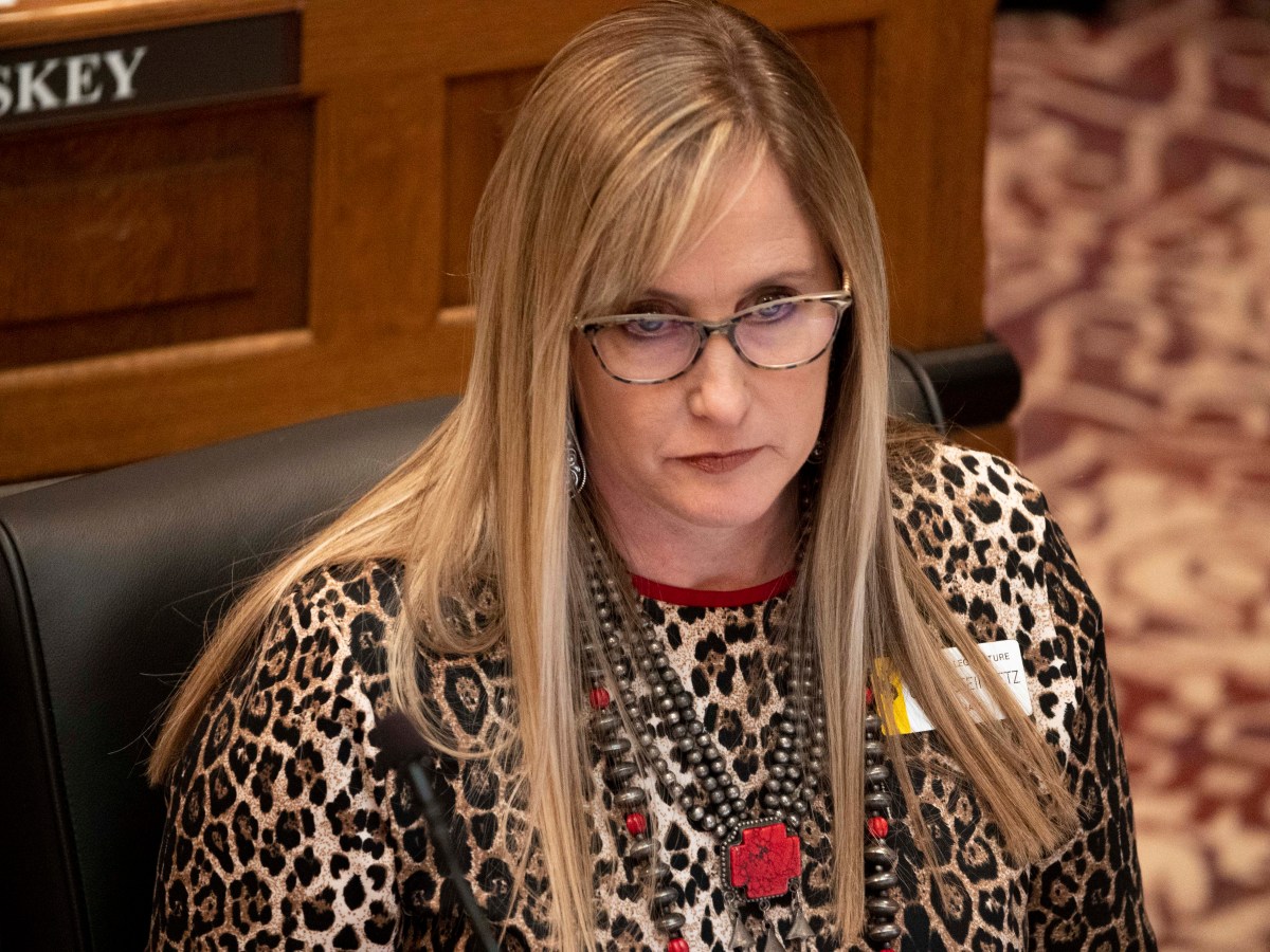 Heavily amended immigration enforcement bill heads to Senate floor