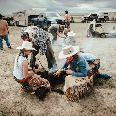 The case for deep Wyoming roots