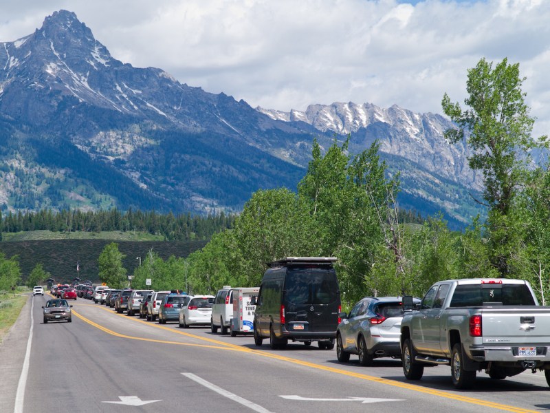 As crowds pile into parks, officials mull management options