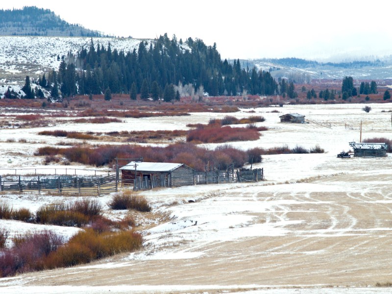 Sublette County rejects billionaire Ricketts’ request to scrub wildlife rules, slowing upscale resort