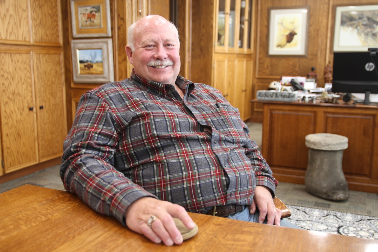 In the Laramie Mountains, too many elk and no easy fixes - WyoFile